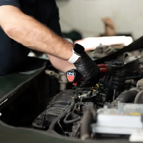 Revizie Anuala Land Atelier